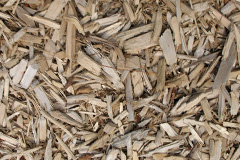 biomass boilers Cury